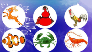 Bầu cua K8CC – Trò chơi cá cược hấp dẫn 4 Hướng dẫn cách chơi bầu cua K8CC