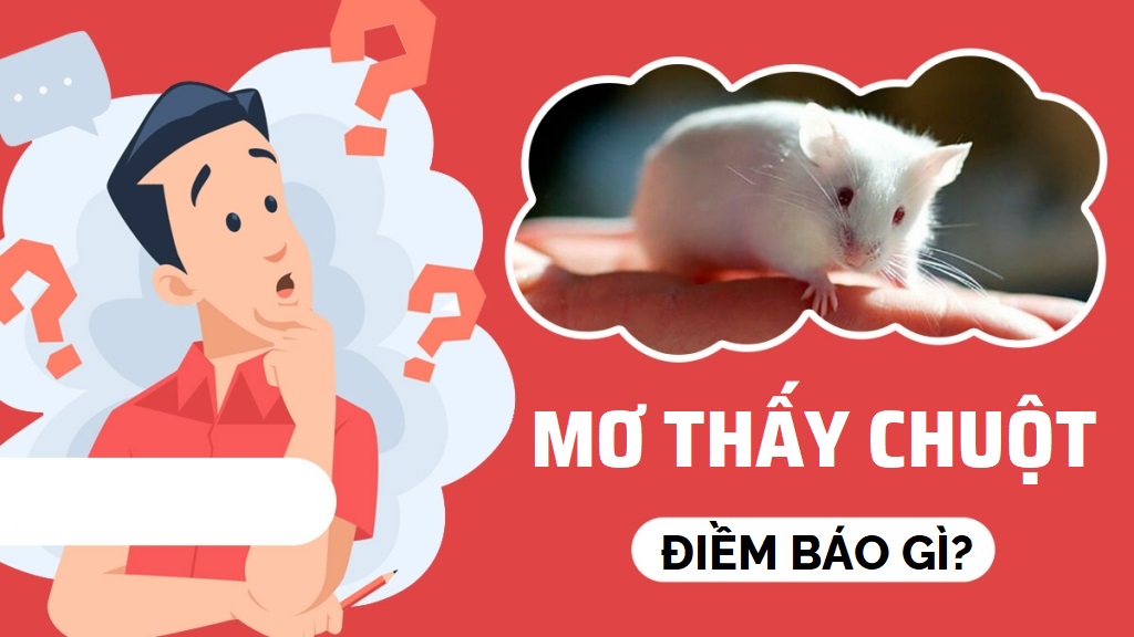 Giải Mã Giấc Mơ Thấy Chuột: Ý Nghĩa Và Những Con Số May Mắn Tại K8CC