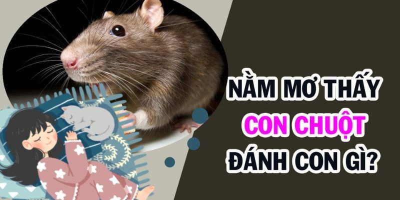 Giải Mã Giấc Mơ Thấy Chuột: Ý Nghĩa Và Những Con Số May Mắn Tại K8CC