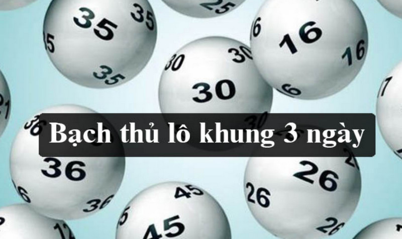 Bạch thủ lô khung 3 ngày