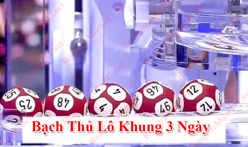 Bạch Thủ Lô Khung 3 Ngày – Bí Quyết Gặt Hái Thành Công Cùng K8CC